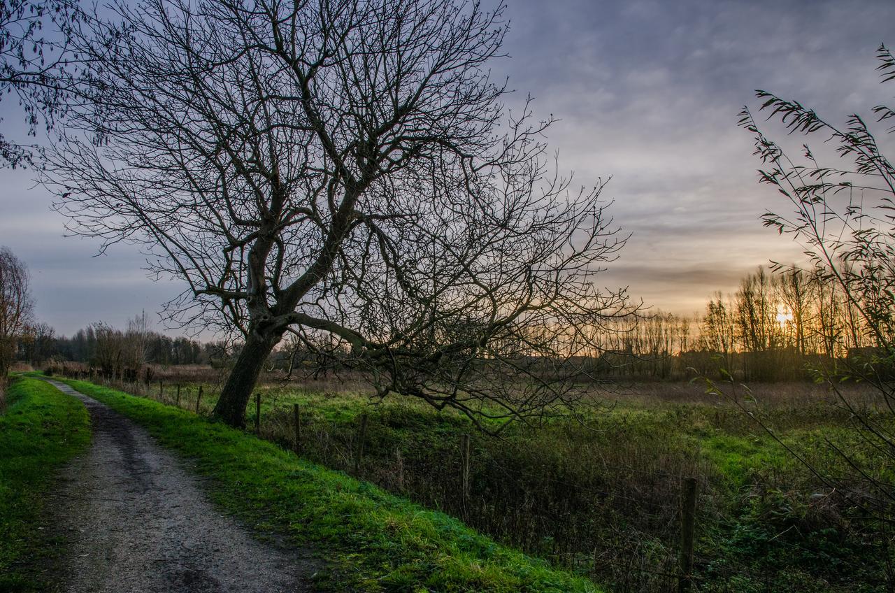 De Koolputten Waasmunster Luaran gambar